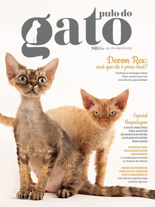 Cover image for Pulo do Gato